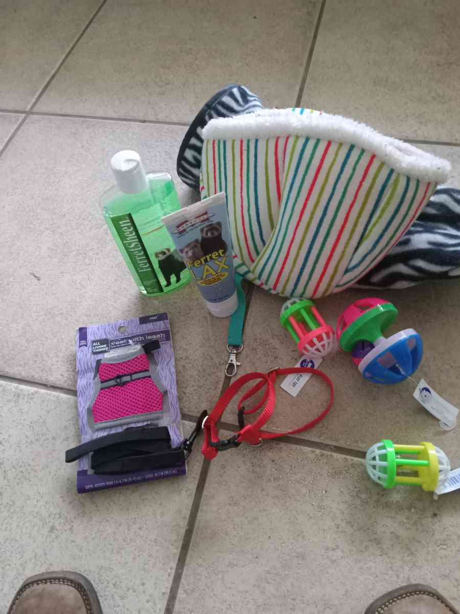 ferret accessories
