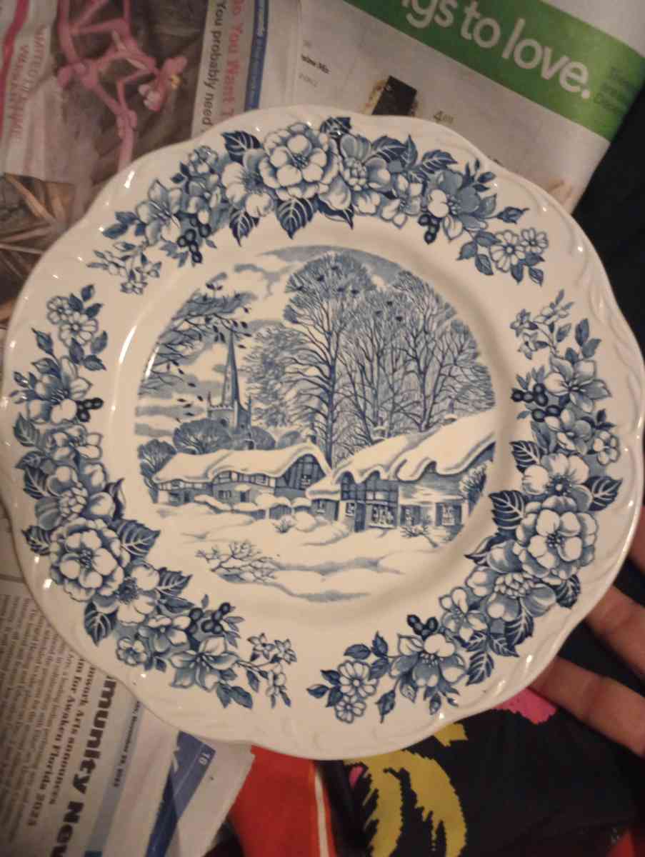 DECORATIVE PLATE EXCELLENT CONDITION