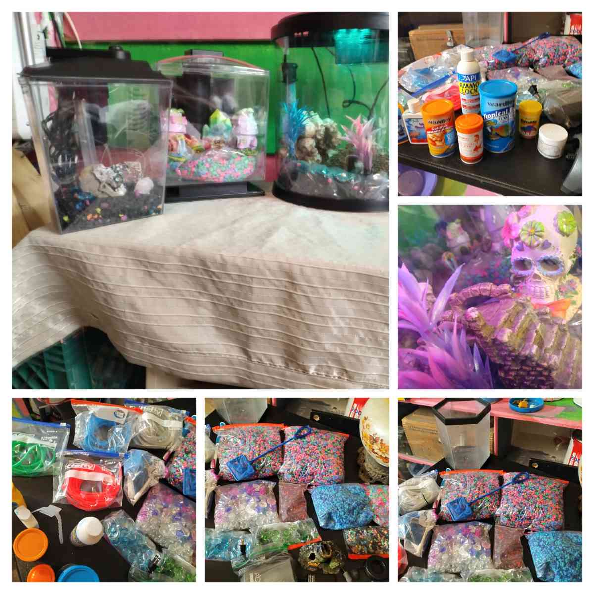 multiple small aquarium set ups  lots of extras