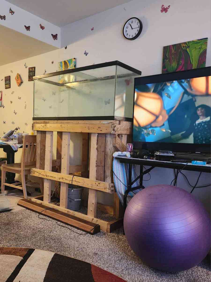 70 gallon Fish Tank