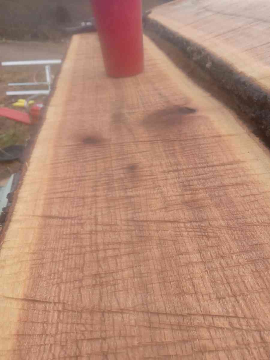 Live Edge Wood Slabs