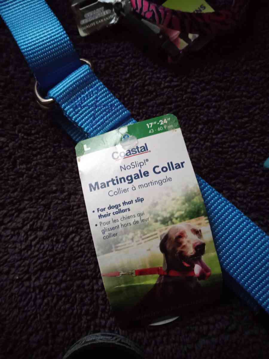 Pet Collars