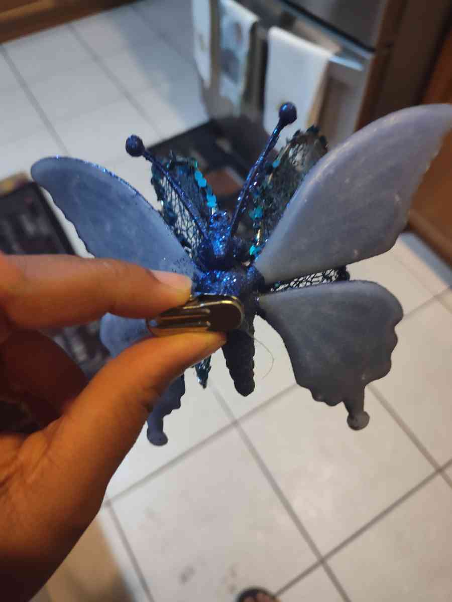 Blue butterflies