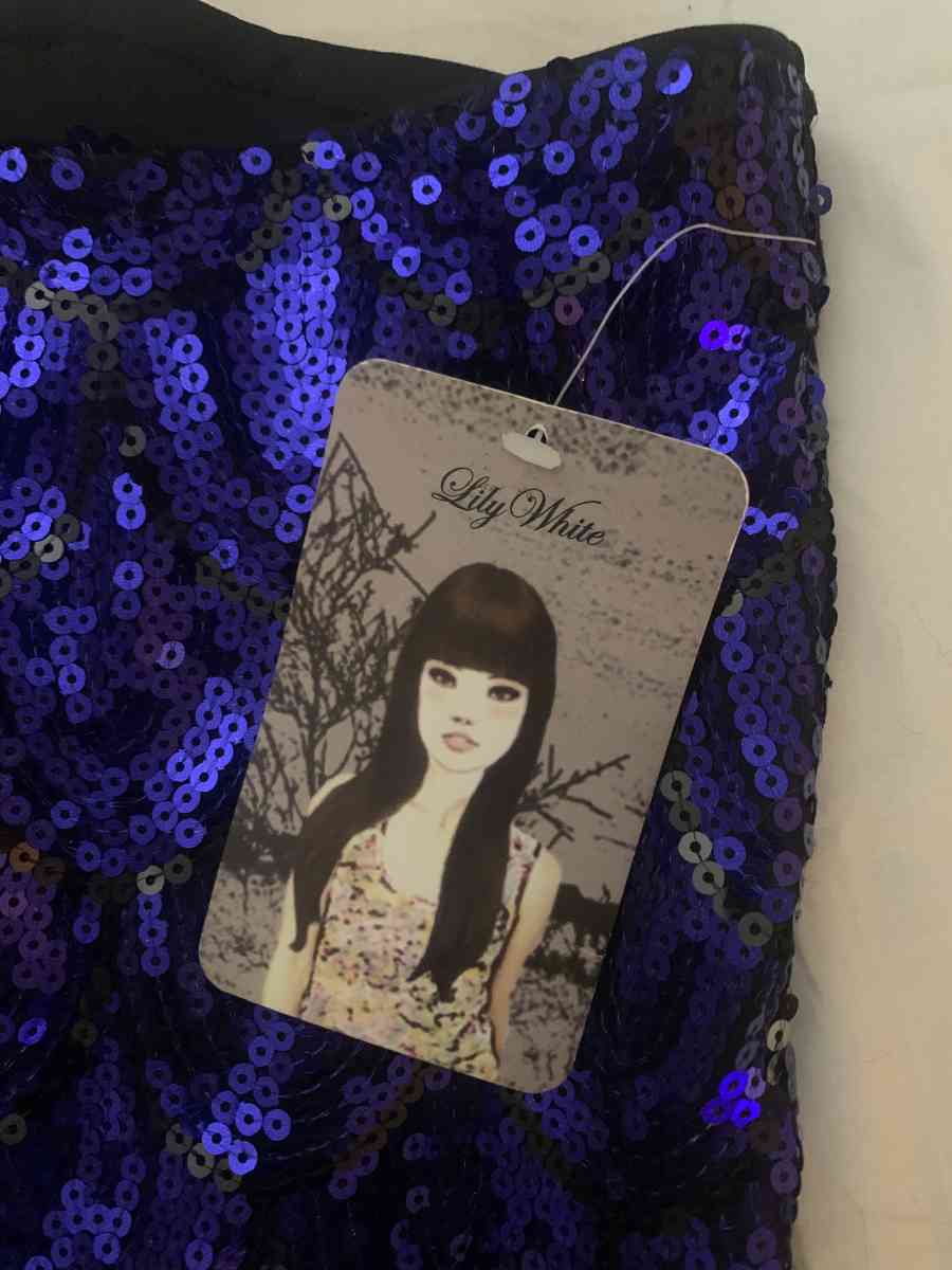 brand new sequined mini skirt