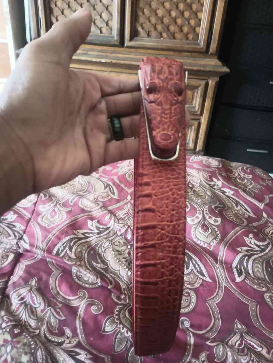 Brown Alligator belt for a man