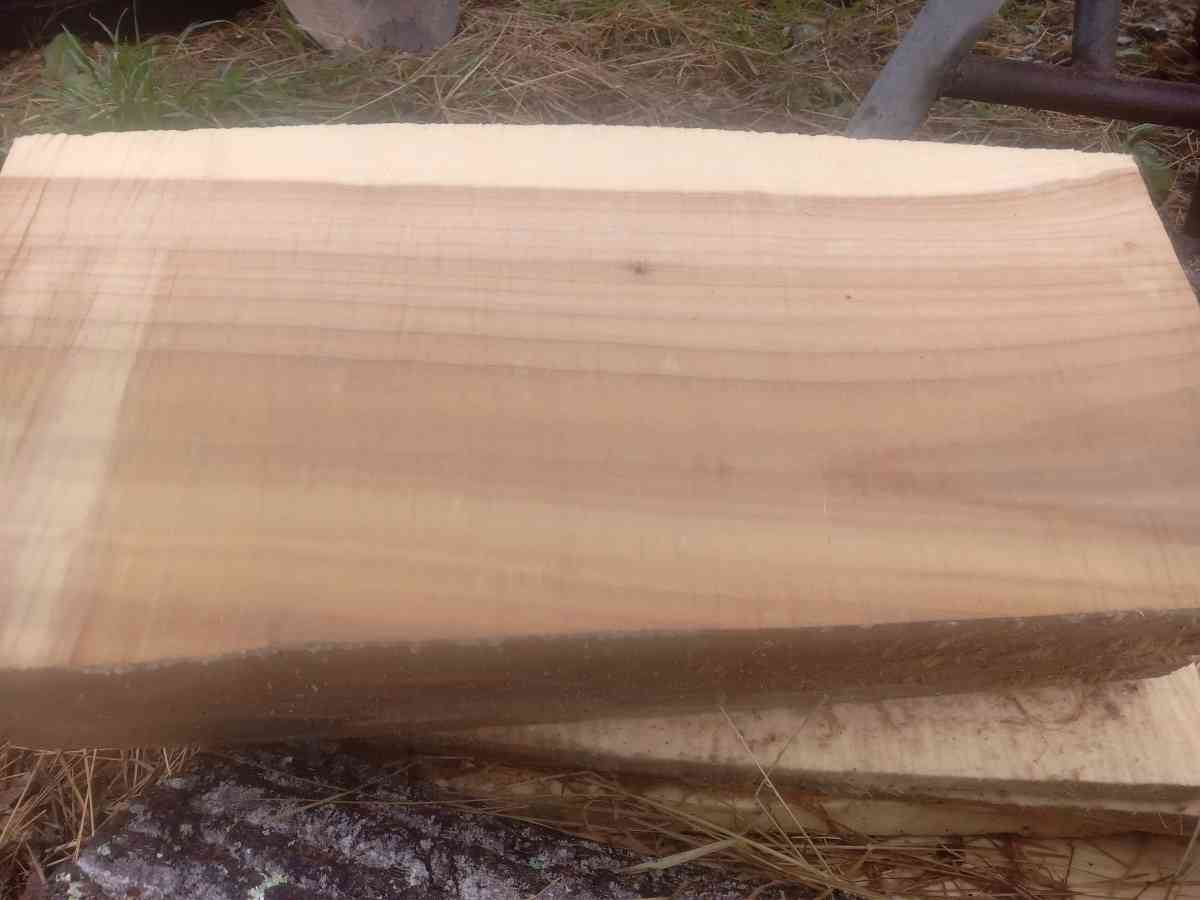 Live Edge Wood Slabs