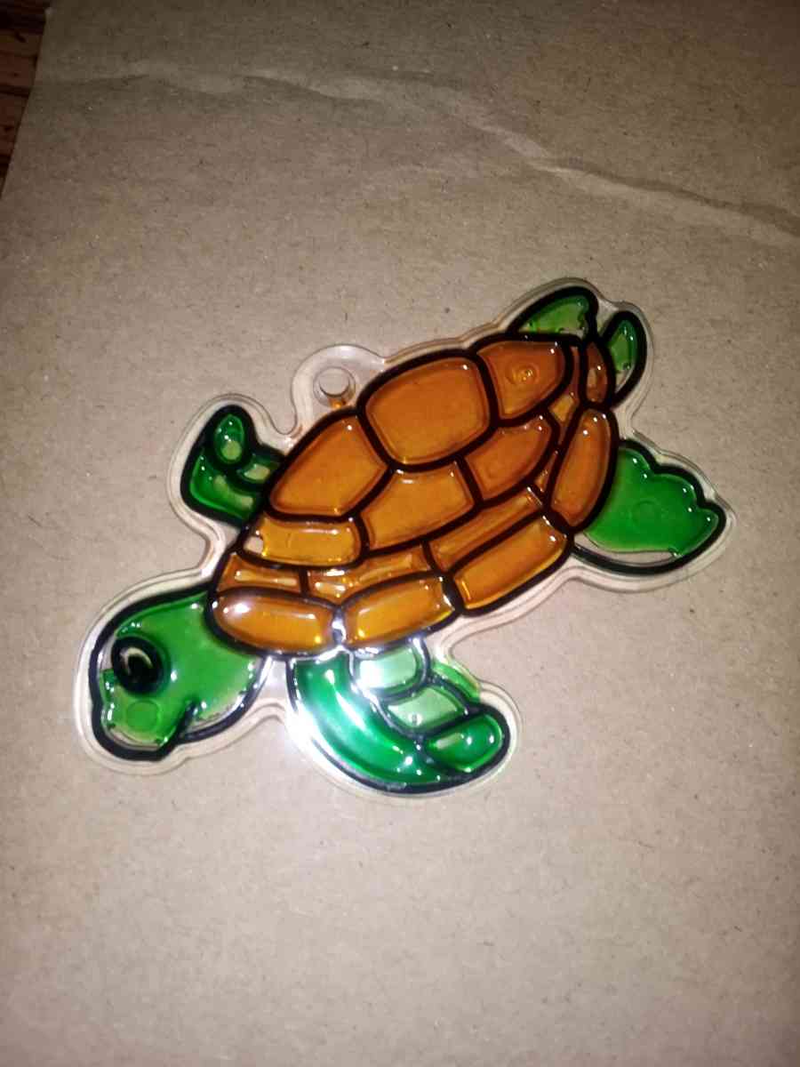turtle window glass