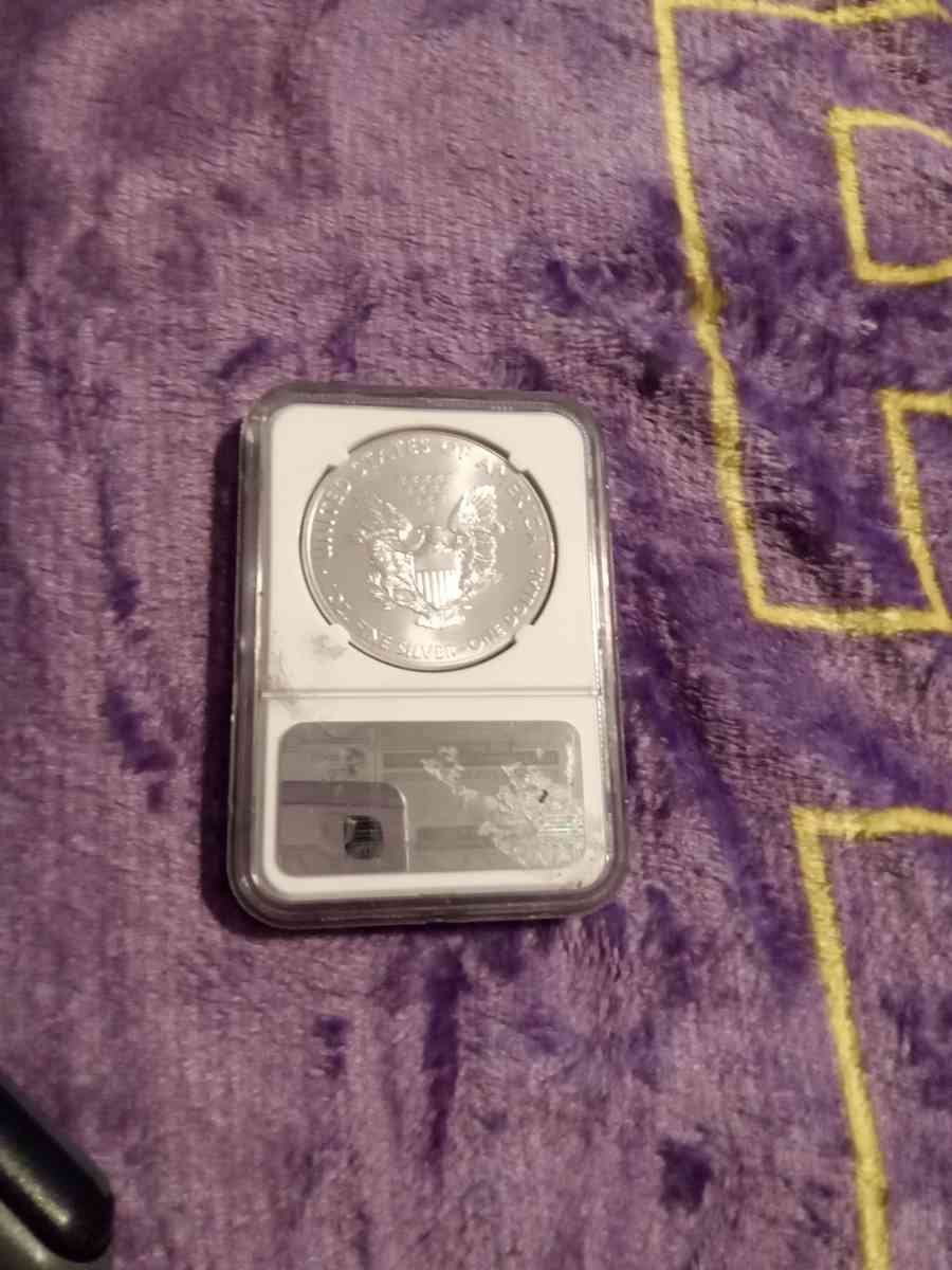 2013 american silver eagle