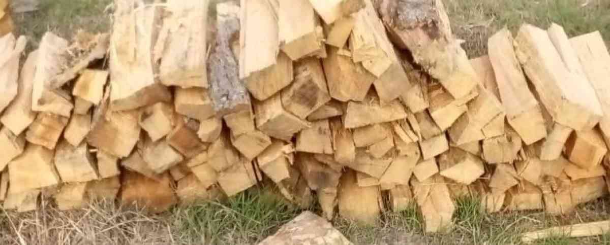 FIREWOOD
