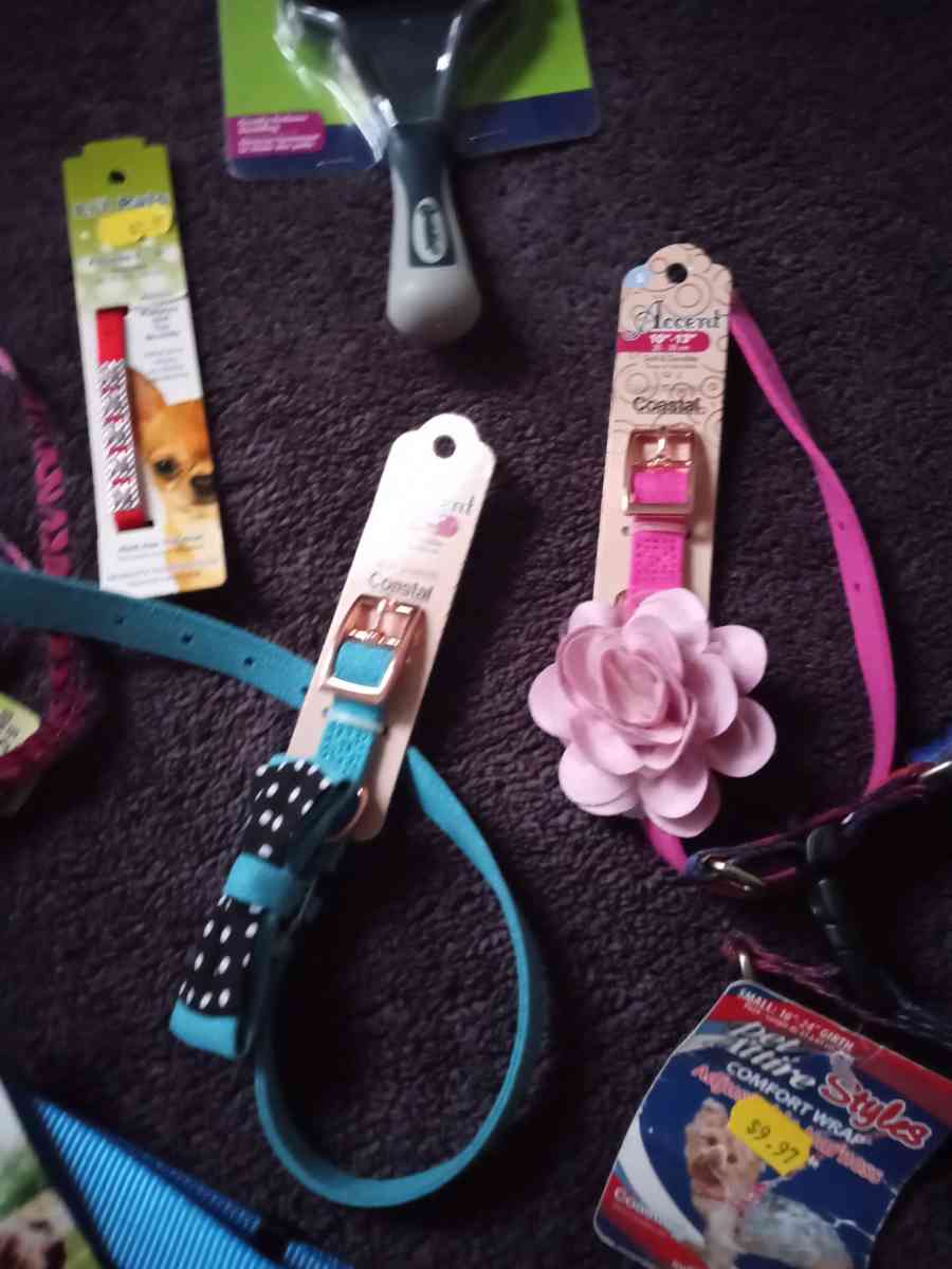 Pet Collars