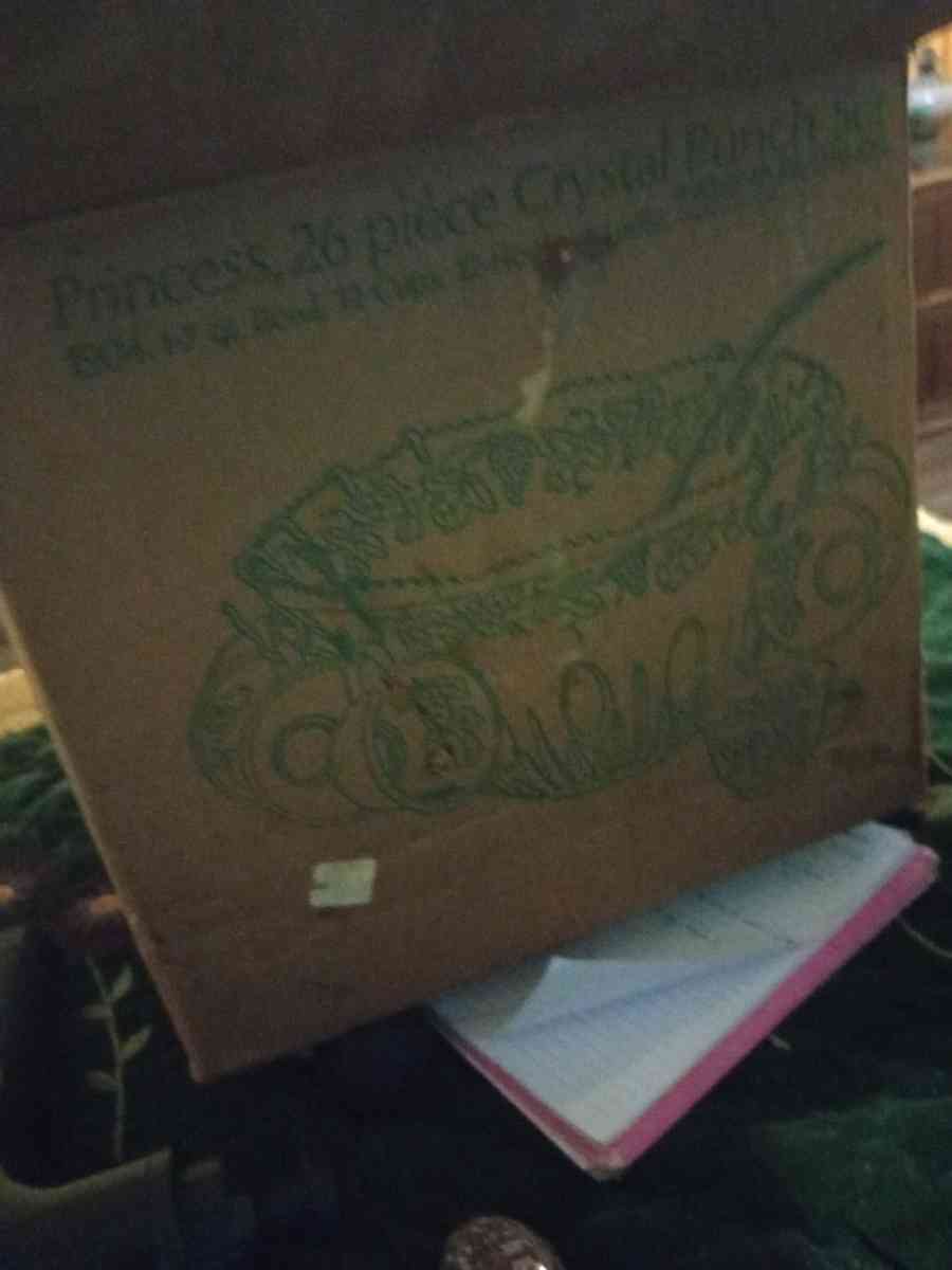 26piece princess crystal punch set