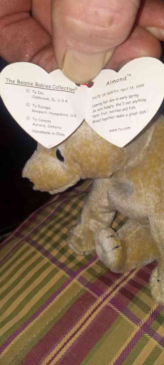 1999 almond beanie babie limitied edition
