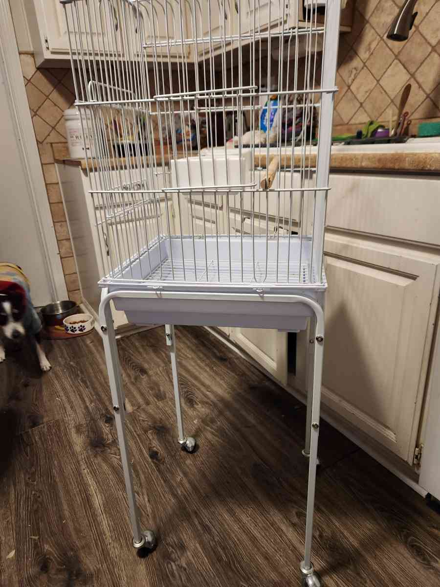 tall white wire birdcage