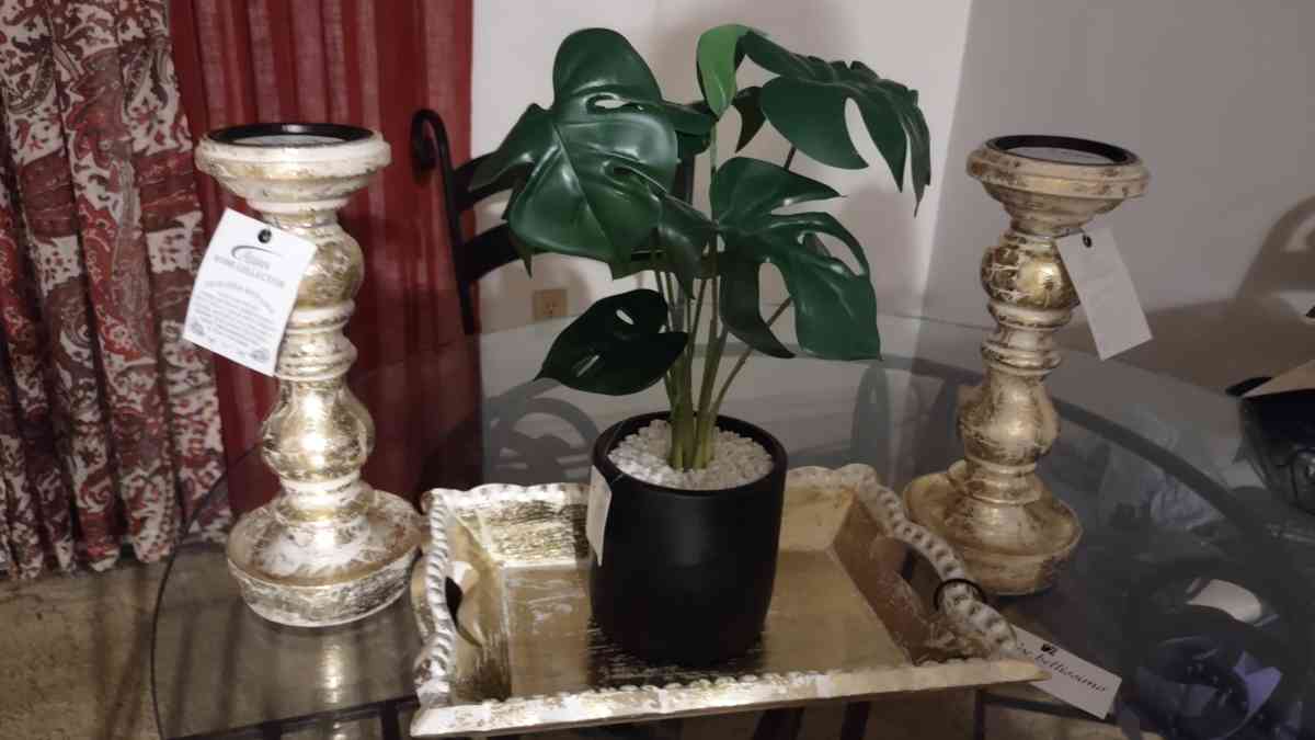 plant and frame of 30 x 65