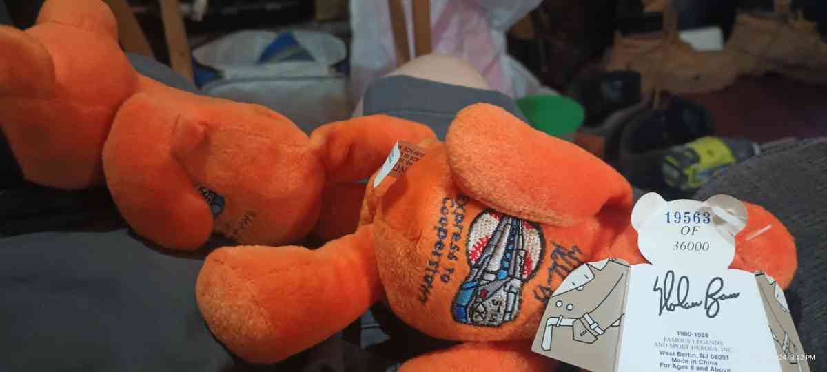 its a collectable bear zoom in