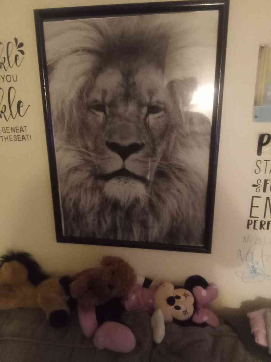 lion picture in frame