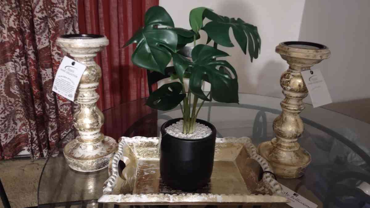 plant and frame of 30 x 65