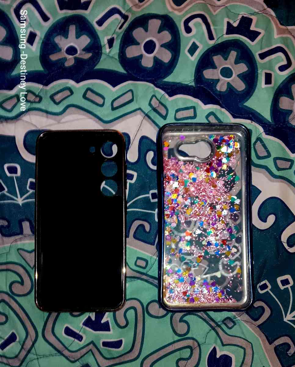 Pricey Cell Phone Cases 4 The Low