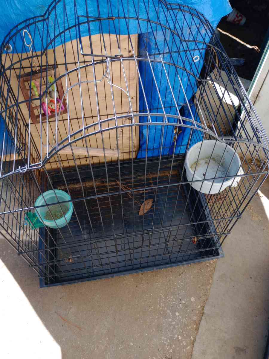 Bird Cage
