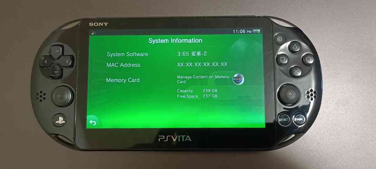Fully Loaded PS Vita  256GB SD Card SD2Vita Adapter OEM Batt