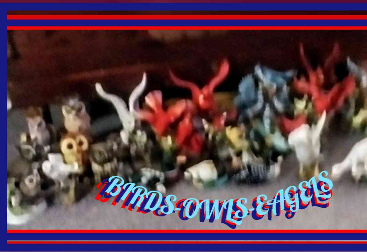 All kinds of BirdsOwls  Eagles