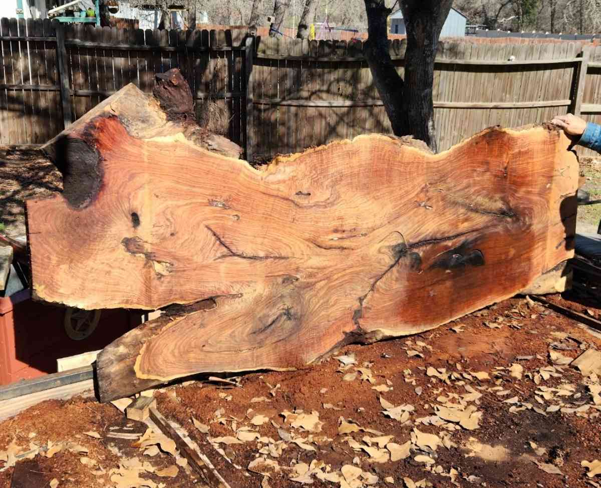 mesquite slabs of wood  7 ft tall  by 38 to 40 inches wide