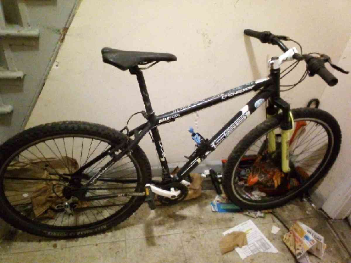 Genesis mountain bike 29in