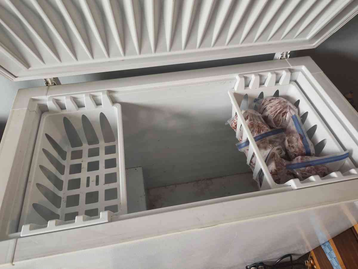 freezer for sale 35 bucks