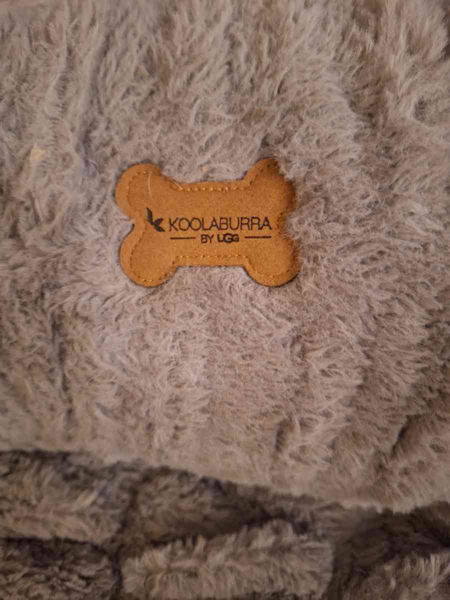 Ugg brand medium dog bed