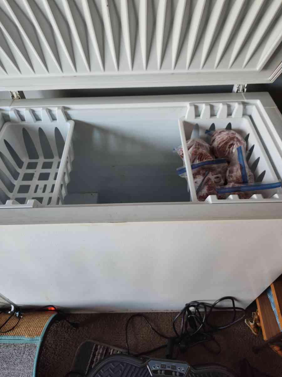 freezer for sale freezer for sale