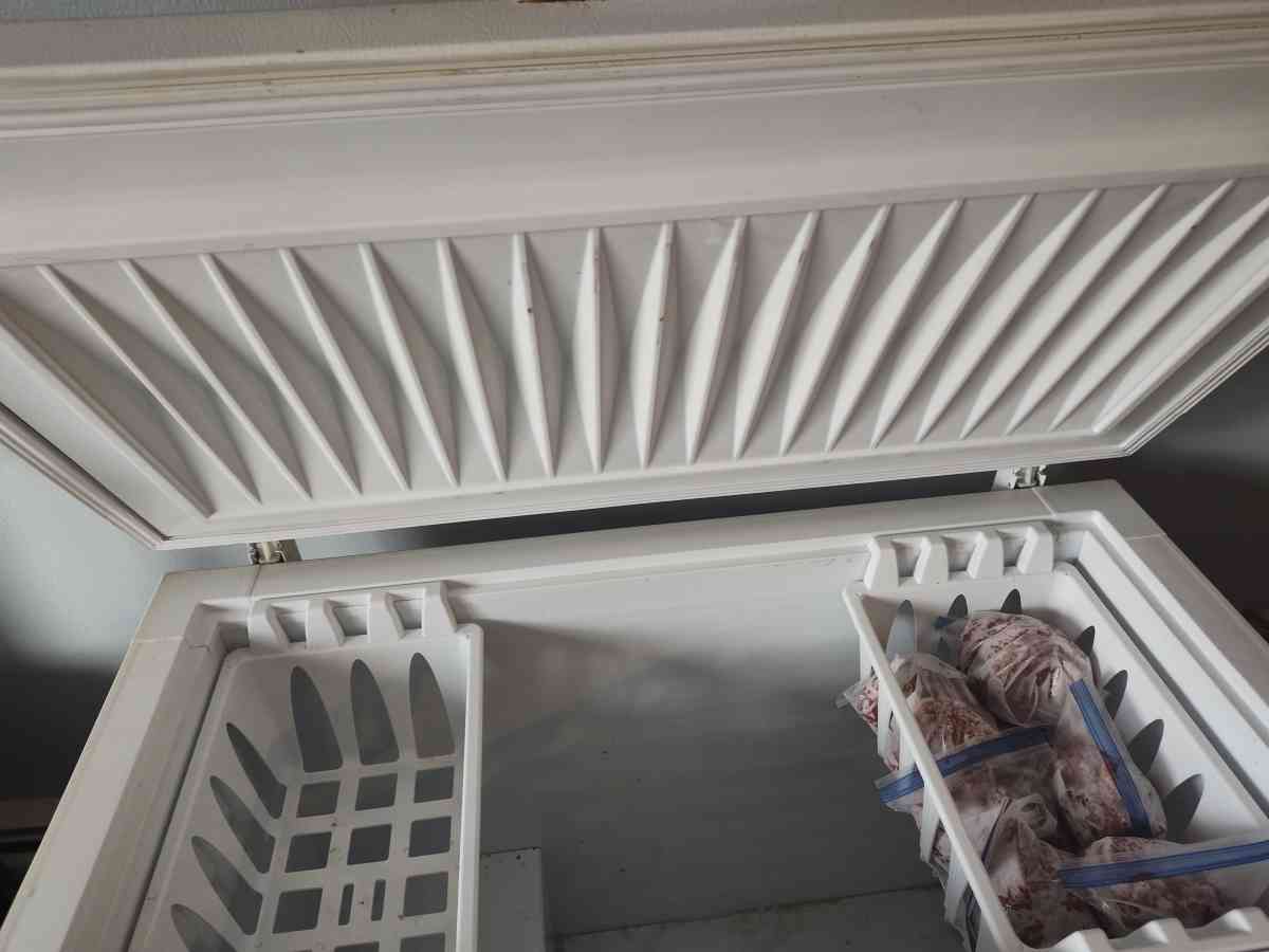 freezer for sale 35 bucks