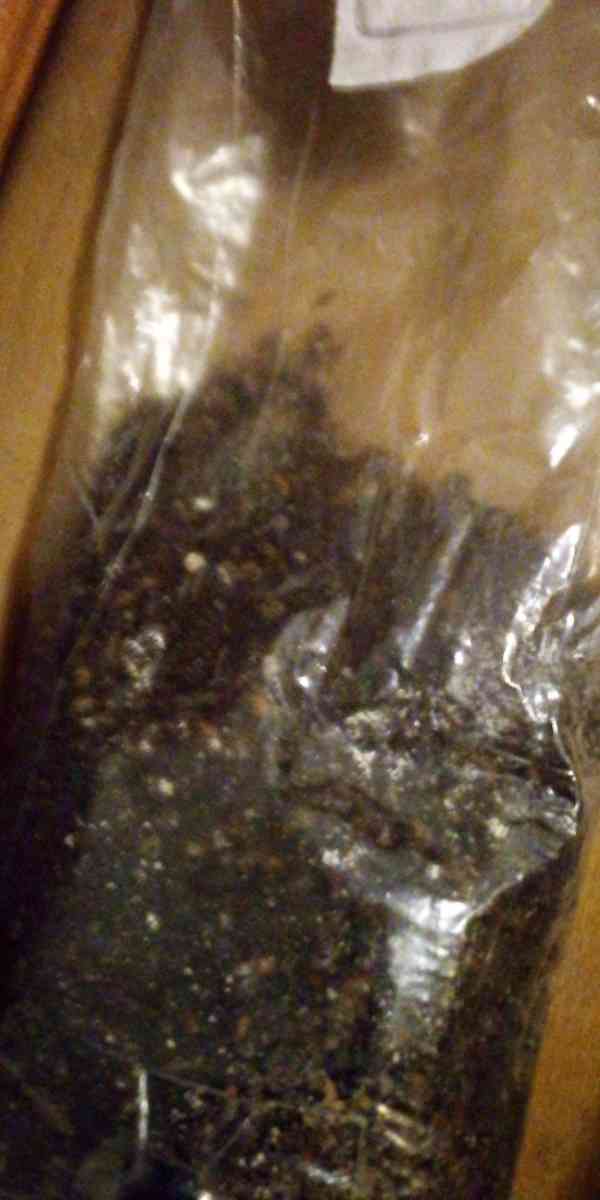 mycology equipment make offer