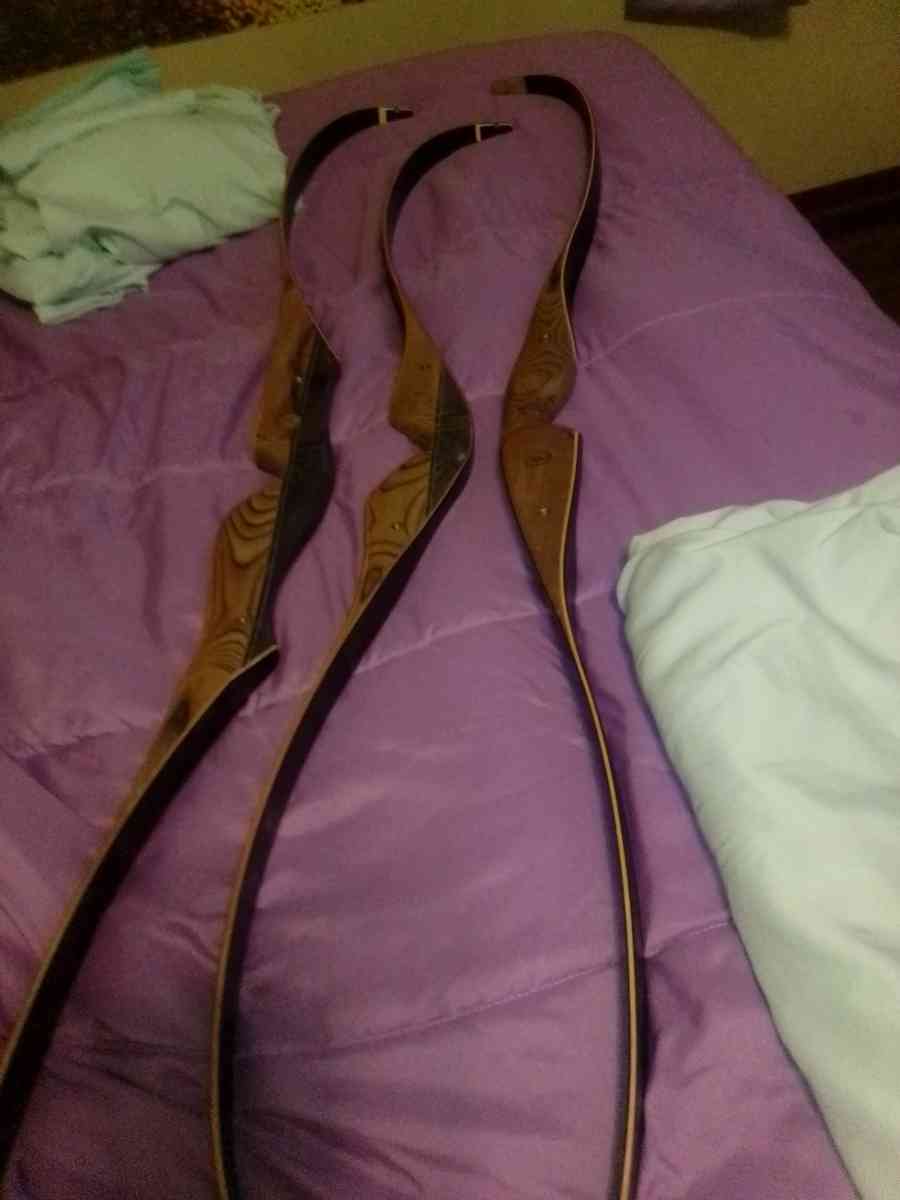 Bear hunting bows brand new