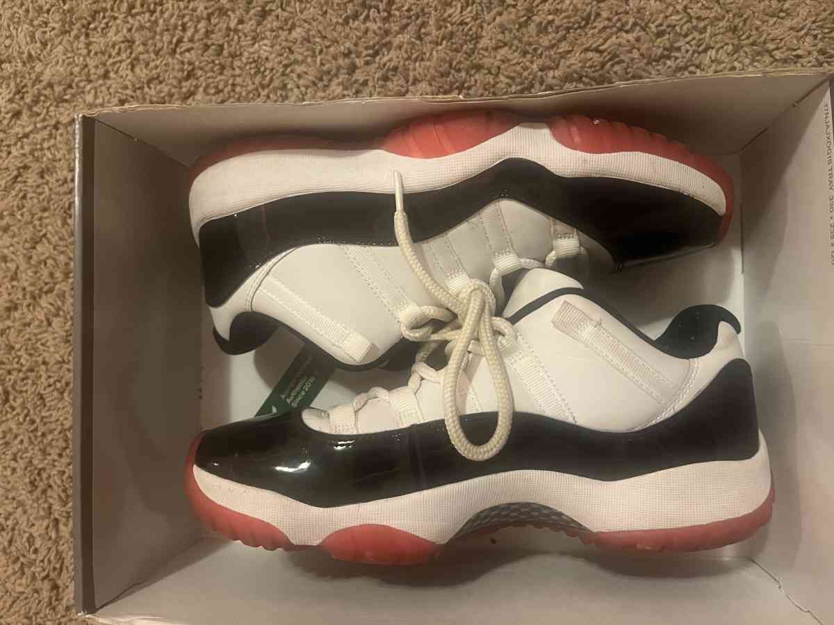 Concord bred 11s