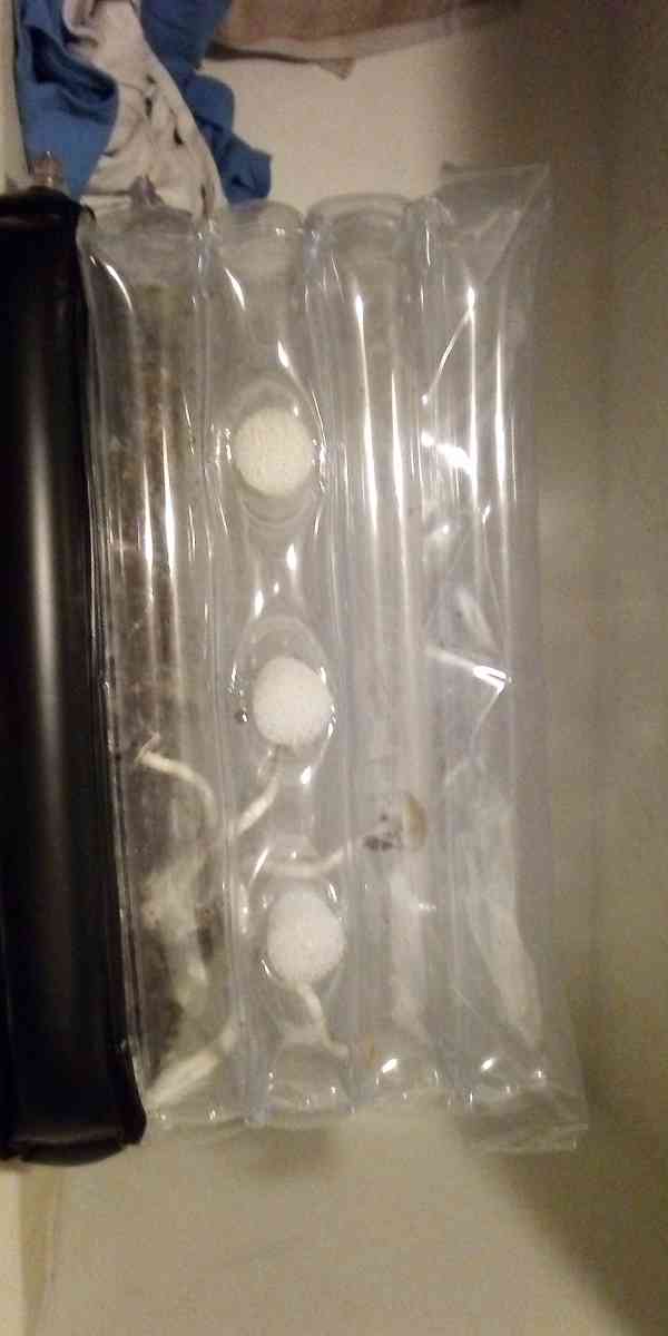 mycology equipment make offer