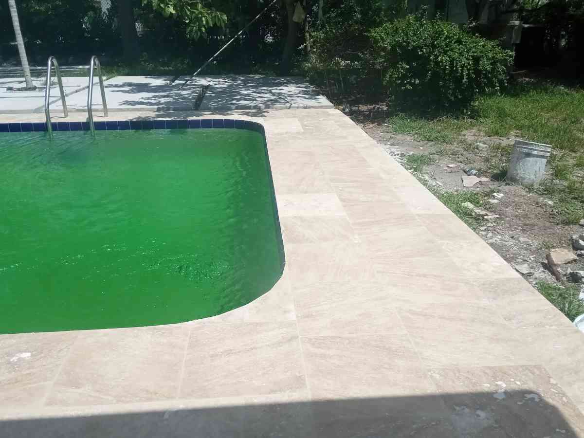 los mejores en el mercado