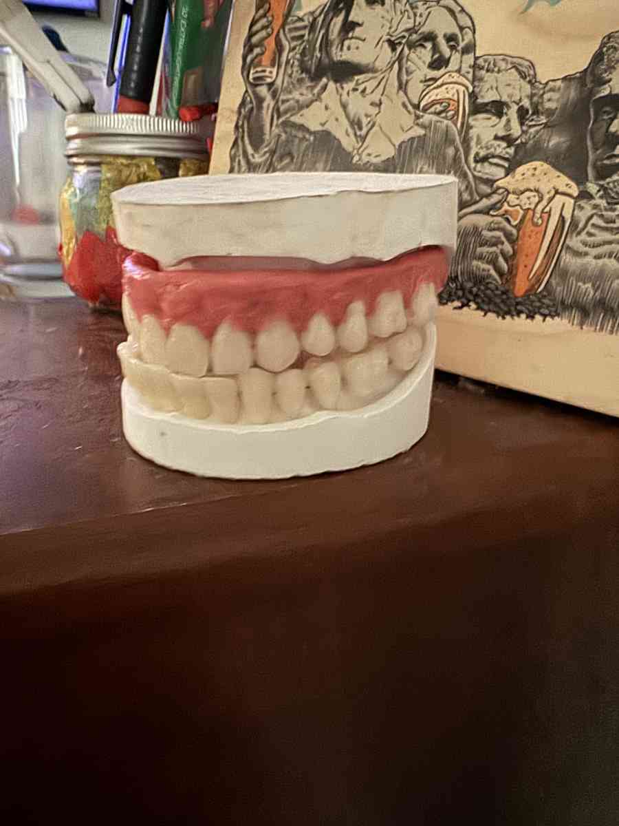 Unused Custom Designed Universal Unisex Dentures
