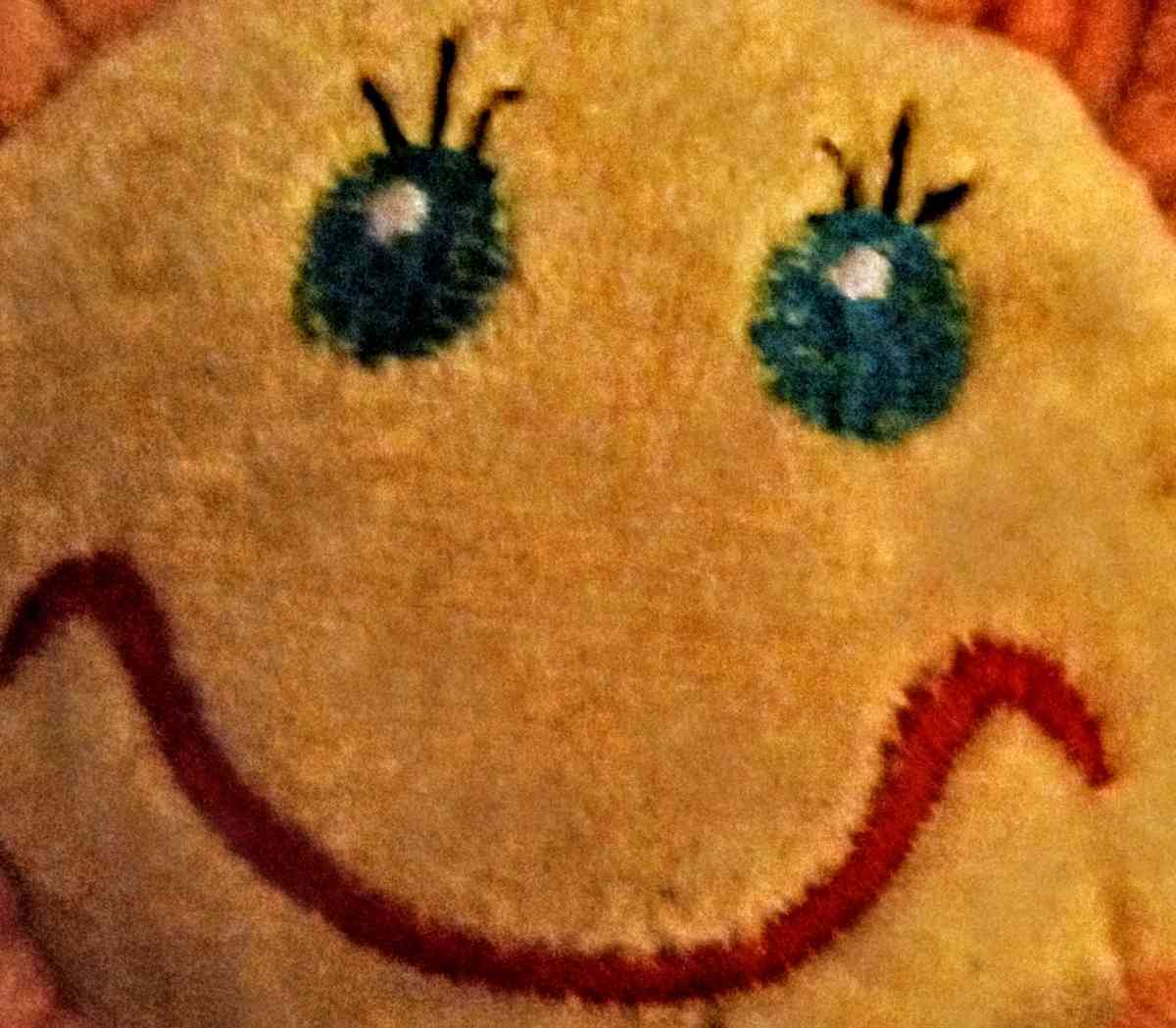 Orange Flower with Yellow Smiley Face and Green Bendable Ste