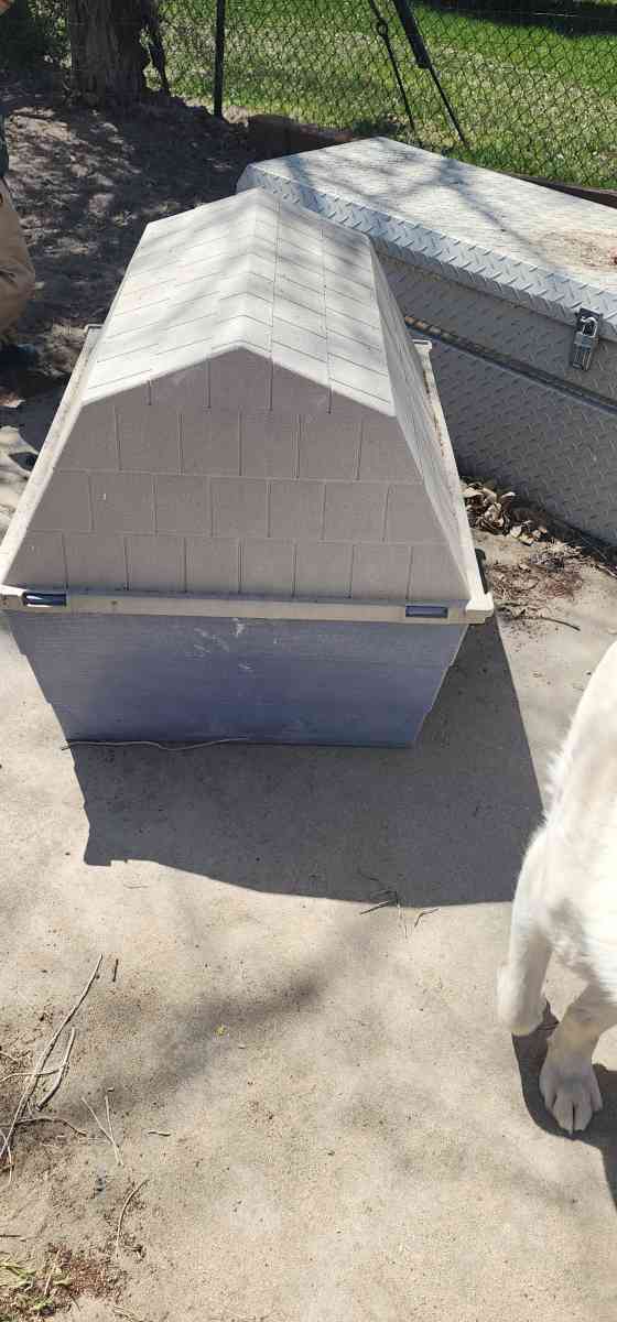 medium dog house
