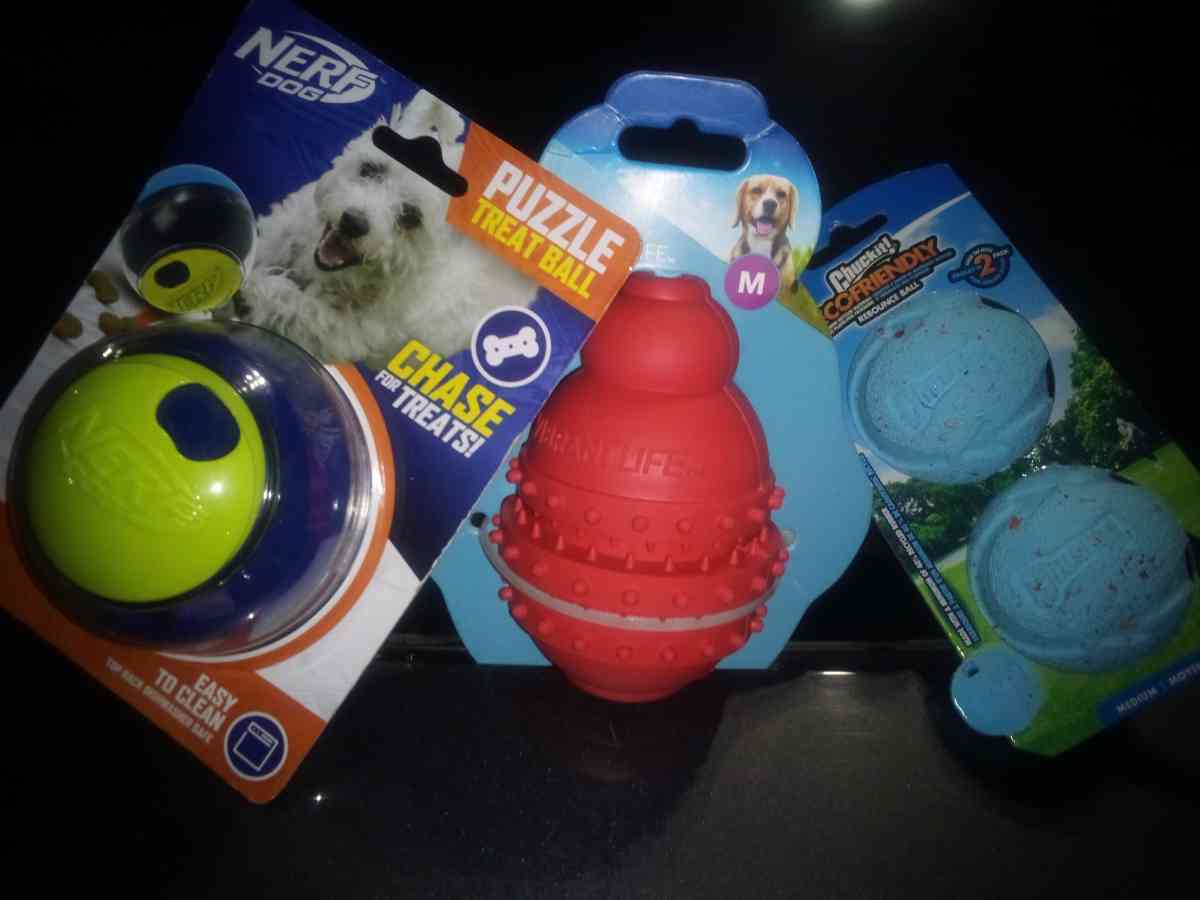 Mario figure Dog futuristic toys pokemon action figure