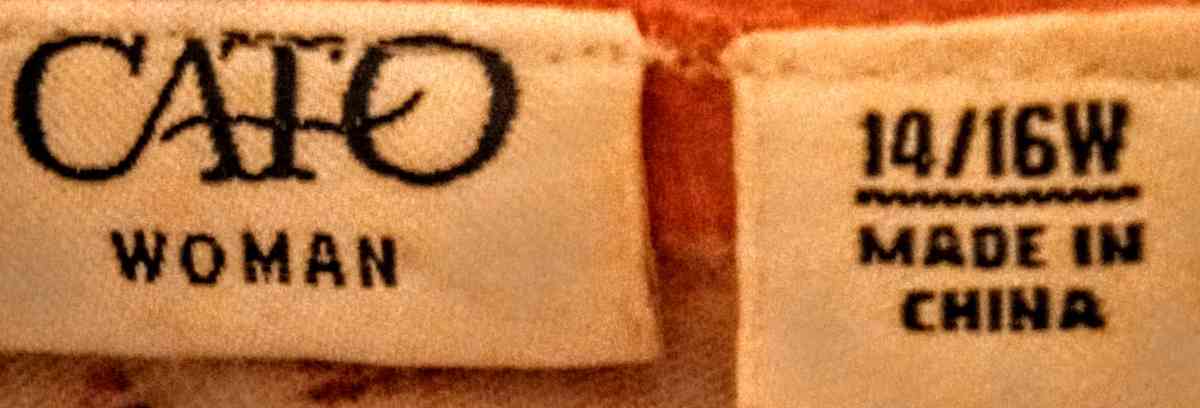 Cato Orange Multi colored Floral Blouse