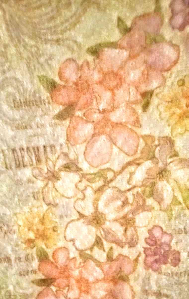 Rue 21 Long Sleeves Sheer Lace Shirt