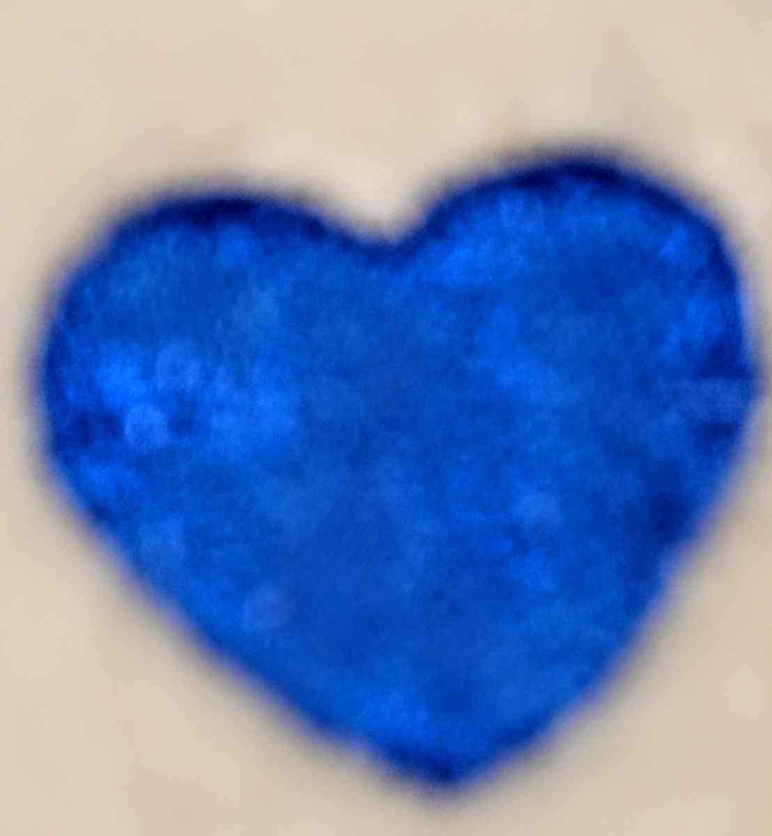 Earl the Beanie Baby