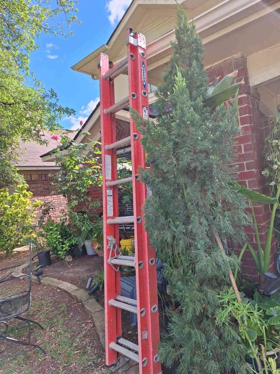 ladder Escalera 16ft