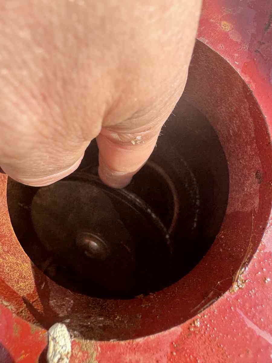 NEW Viking Fire Riser Check Valve