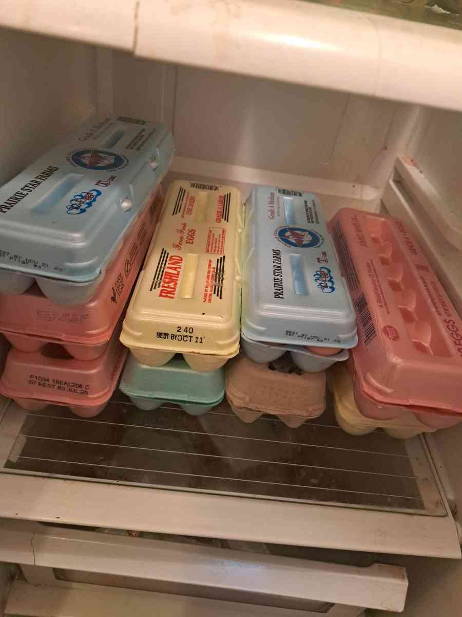 fresh eggs