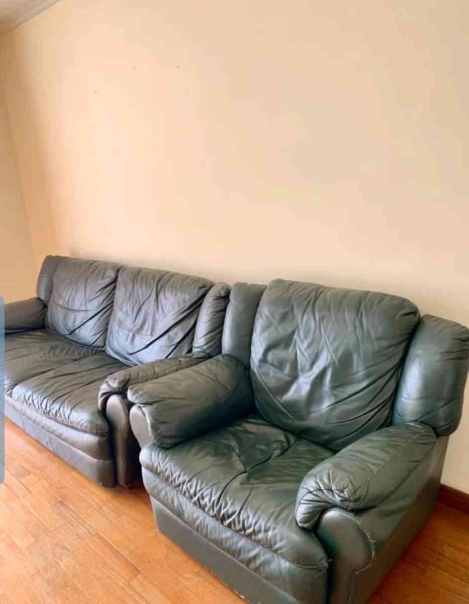 Green leather  Sofa furniture
