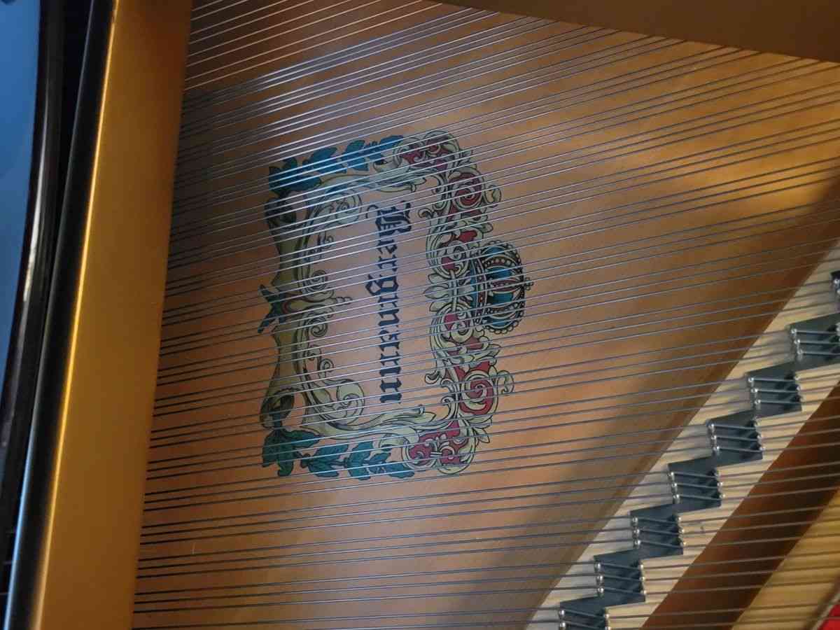 Bergmann Piano Heritage Series by Young Chan