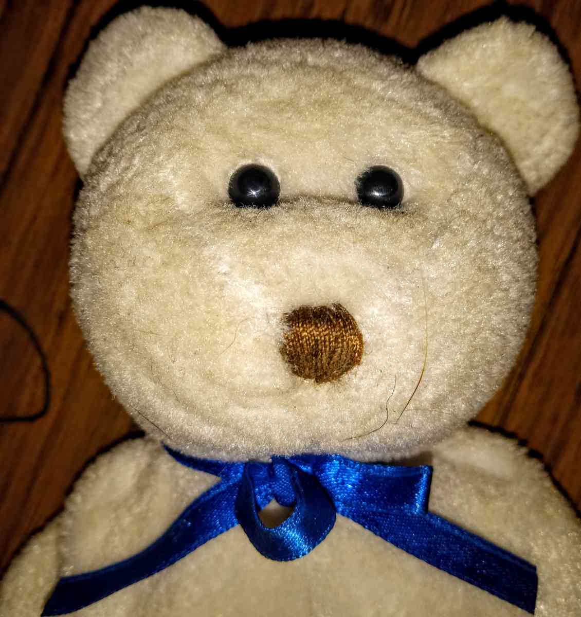 Earl the Beanie Baby