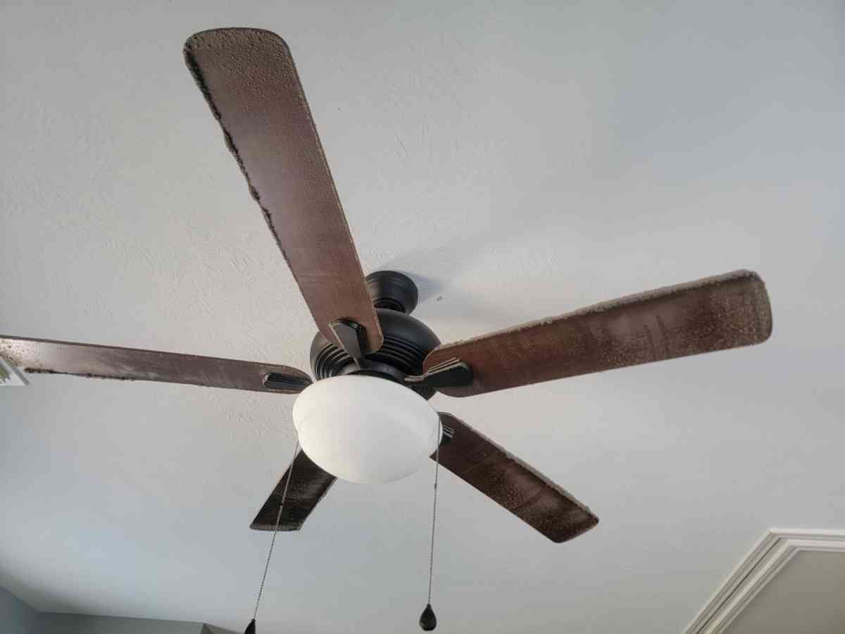 House cleaning apartments offices and more